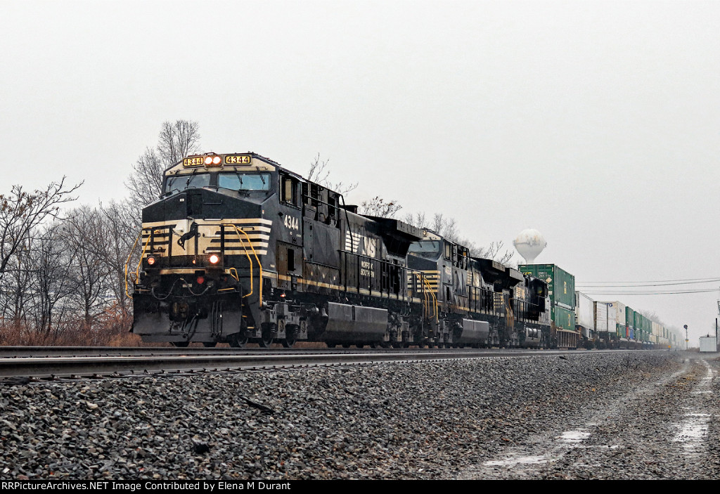 NS 4344 on 24X